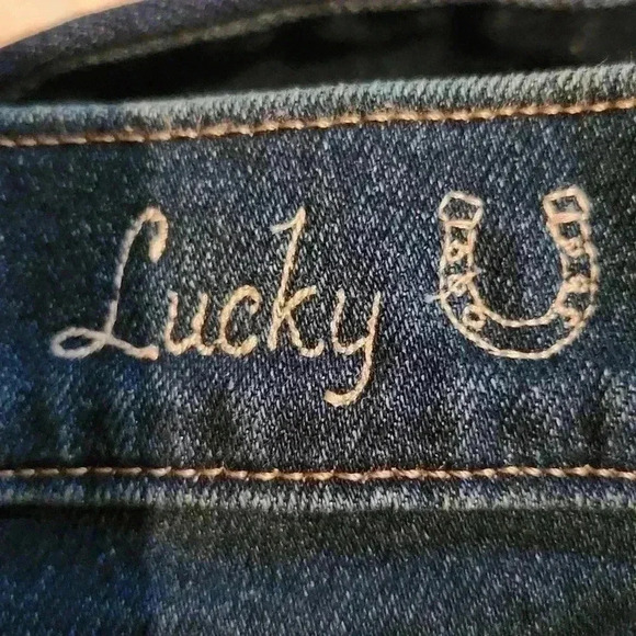 Lucky brand  High Rise Skinny Bridgette Size 4/27 - Picture 8 of 10
